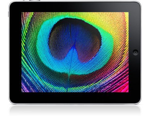 iPad - the new gadget from Apple screen front foto