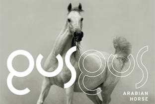 Arabian Horse by Gus Gus - cover album