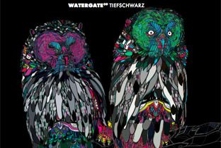 Watergate 09 by Tiefschwarz - cover album