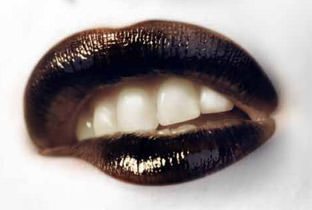 Animal Social Club by Jerome Sydenham